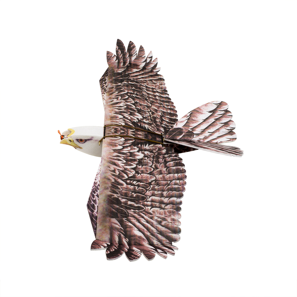 Rc Hobby Online - เครื่องบินบังคับวิทยุ DW Hobby Eagle II EPP