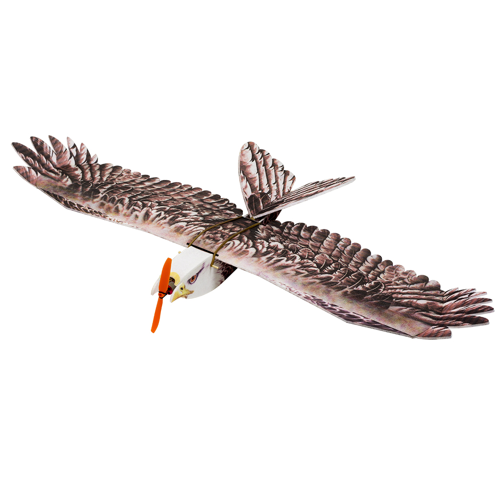 เครื่องบินบังคับวิทยุ DW Hobby - Rc Hobby Online บทวิจารณ์และราคา