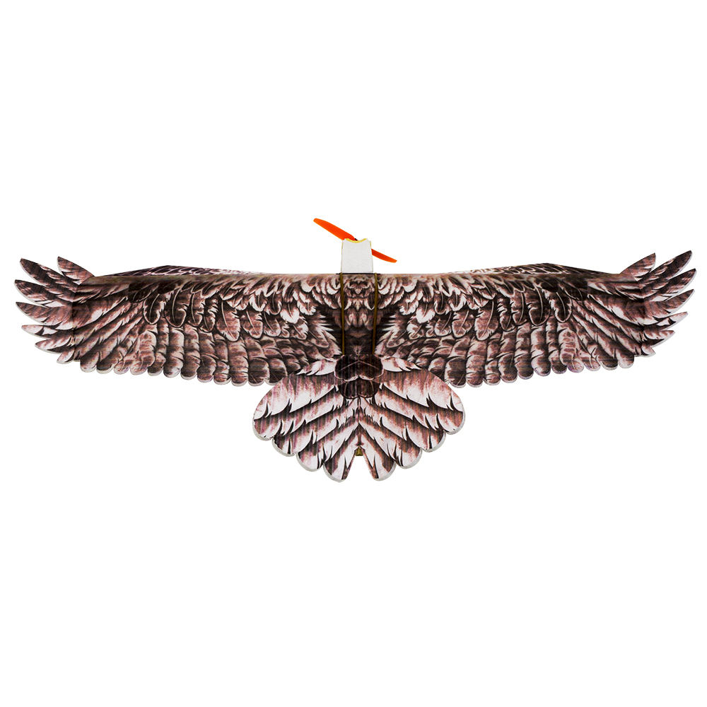 เครื่องบินบังคับวิทยุ DW Hobby - Rc Hobby Online บทวิจารณ์และราคา